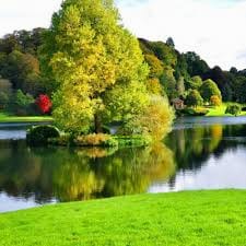 Huỳnh Quang Thanh avatar